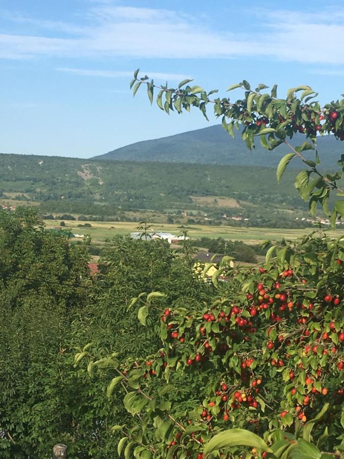Holiday Home Nemo Bihać Екстериор снимка
